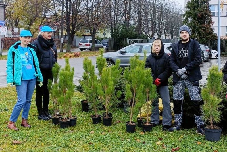 50 nowych drzew w Raciborzu na Dzień Czystego Powietrza